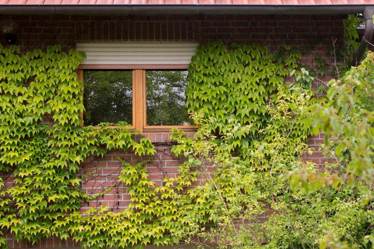 Ferienwohnung Meinersen ภายนอก รูปภาพ